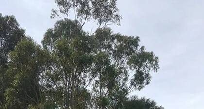 Farm "The Quarters" Foxground", Berry views