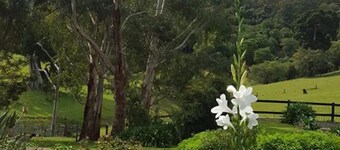 Farm "The Quarters" Foxground", Berry views