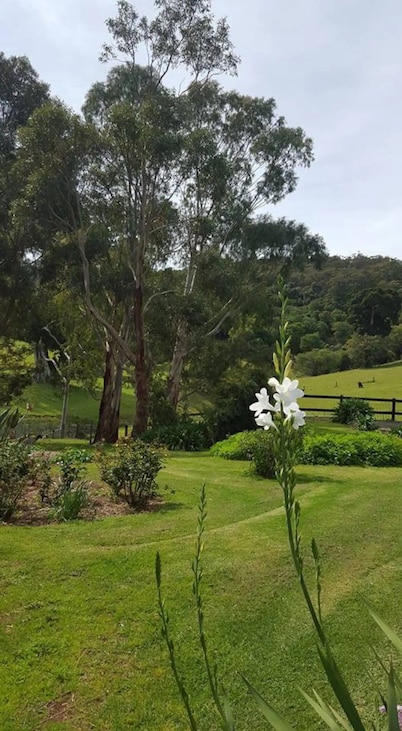 Farm "The Quarters" Foxground", Berry views