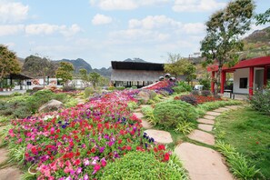 Garden view