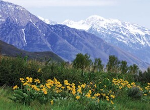 Overnatningsstedets område