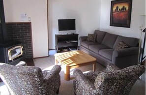 Smart TV, fireplace, DVD player, books