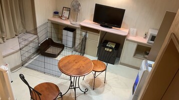 Decoración personalizada, muebles diferentes y wifi gratis 