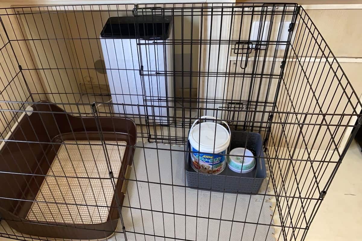 A pet cage with a brown tray, a water and food bowl, and a white container.