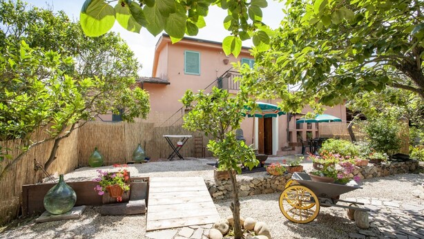Un patio con un sendero de piedra, una mesa de madera y plantas en macetas.
