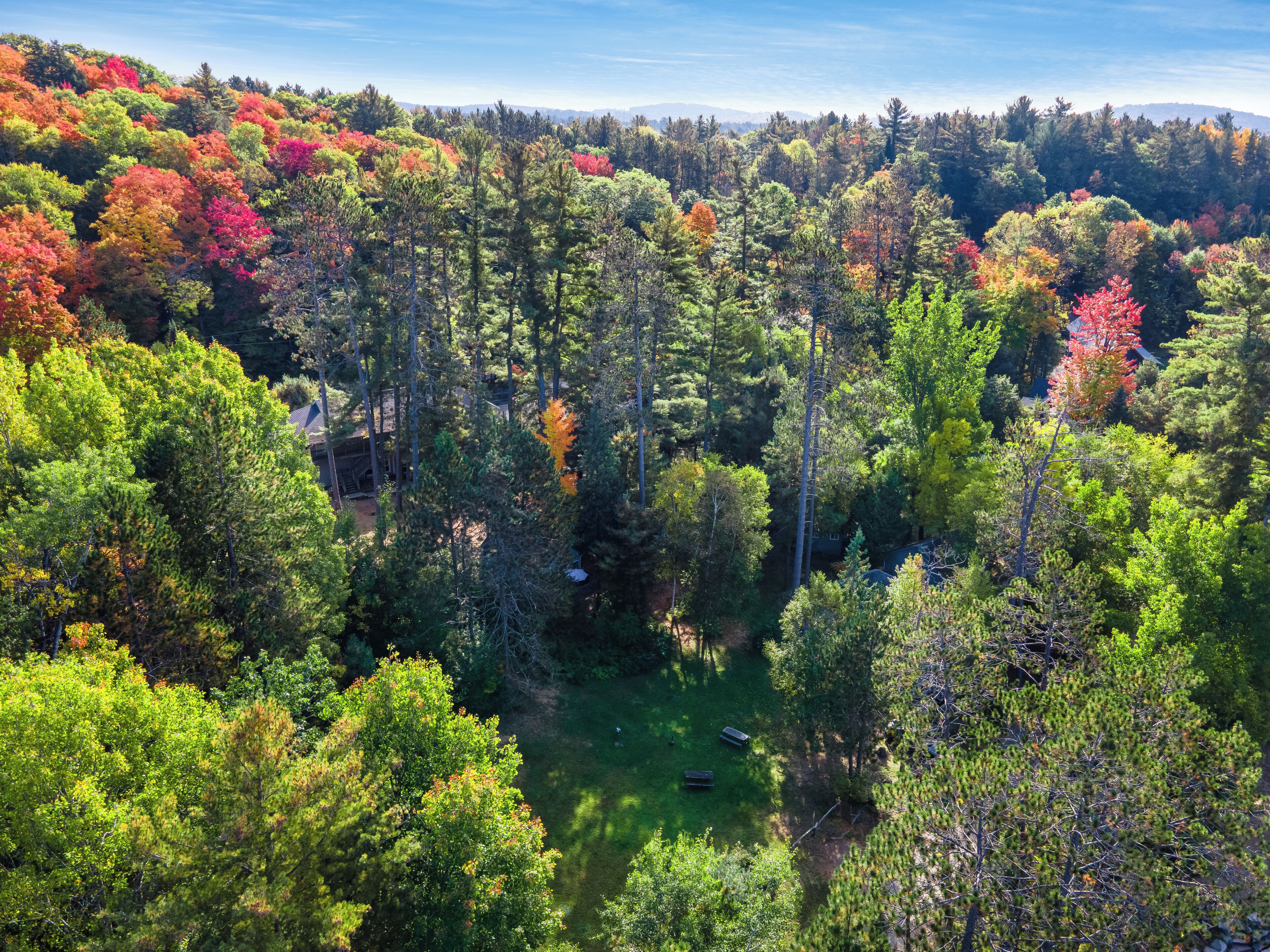 A forested area with a small clearing and a cabin.