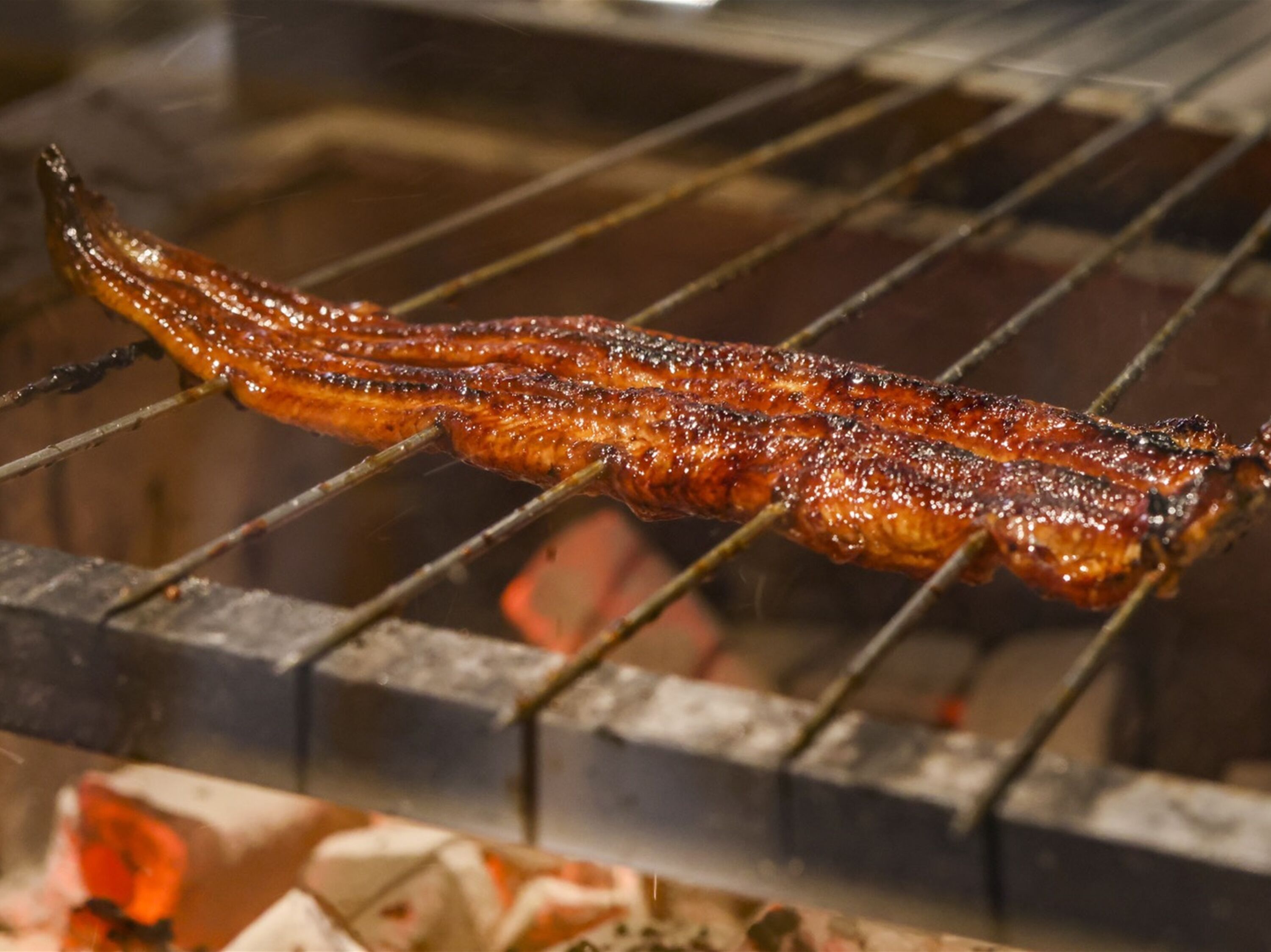 A long, grilled meat on a grill with visible grill marks and a charred exterior.