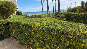 Jardí paisatjistic amb un camí que condueix a un edifici, palmeres i vista a l'oceà.