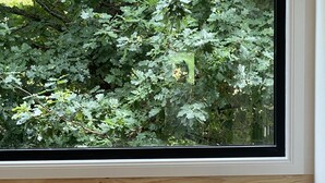 Ein modernes Zimmer mit großem Fenster, einer Holzvertäfelung, einem schwarzen Ledersessel, einem kleinen Holztisch mit einer Vase voller rosa Blumen und einem Stapel Bücher.