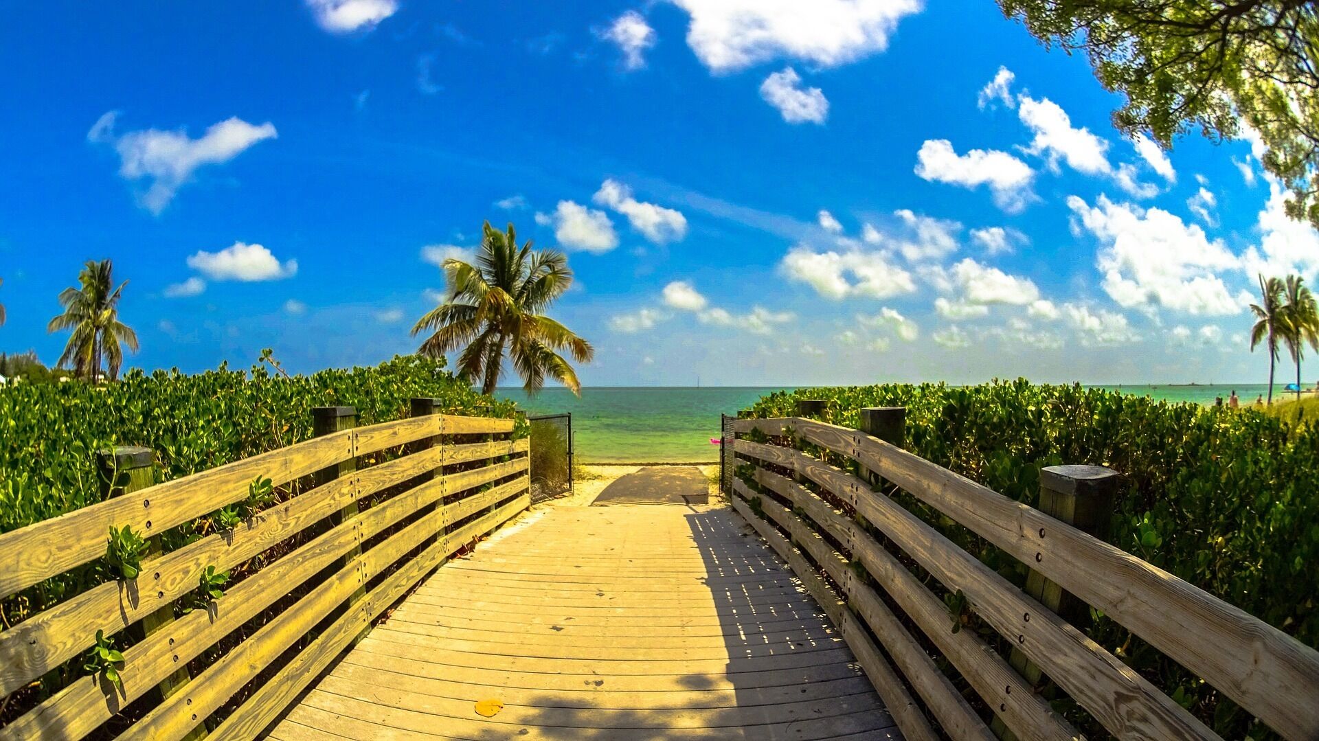 Newly renovated hotel close to top destinations in Miami