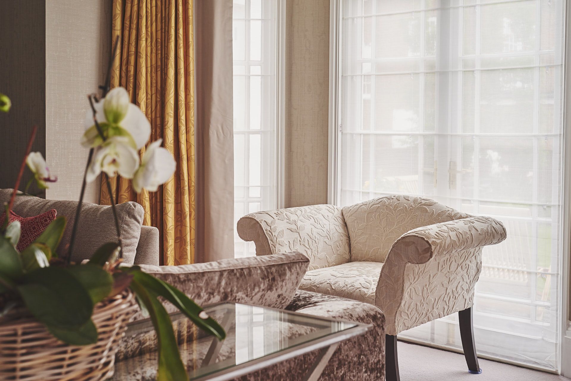 Lareira, livros, escritórios