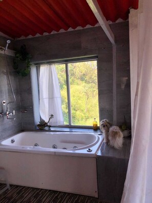 Duschwanne, Whirlpool