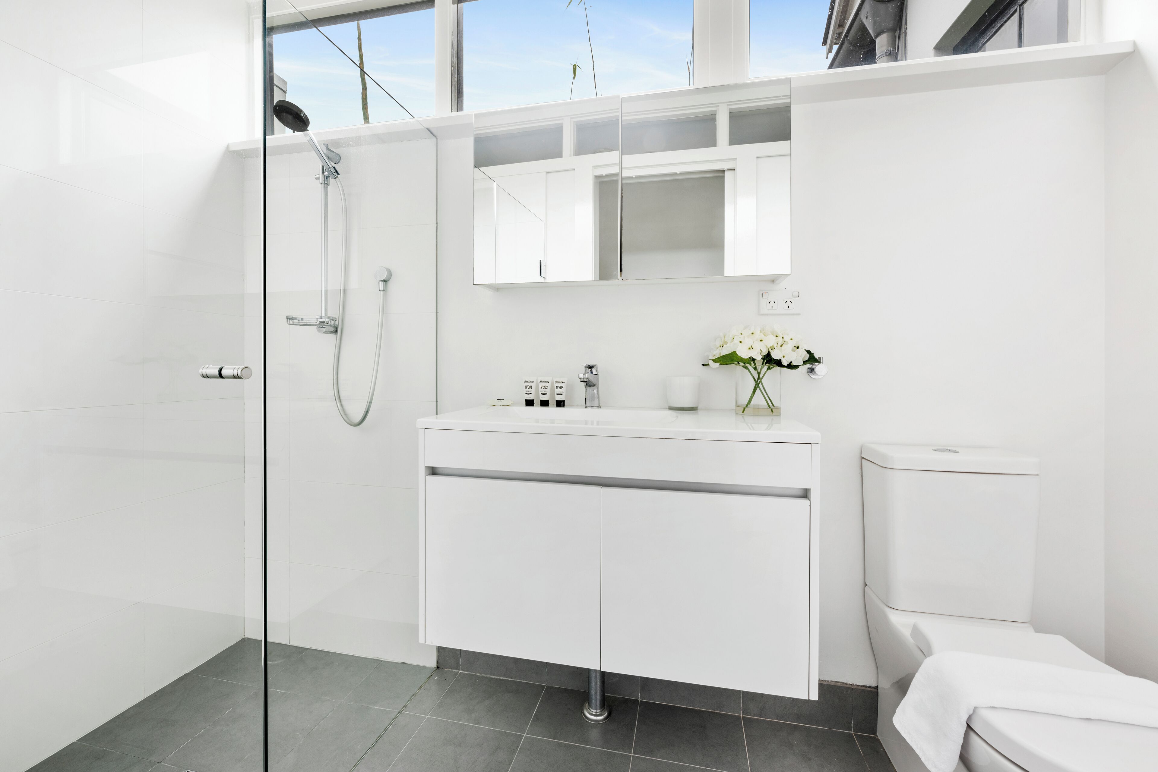 Shower, hair dryer, towels
