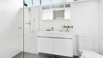 Shower, hair dryer, towels