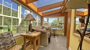 Smart TV, caminetto, lettore DVD, videoteca