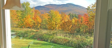 Vue depuis l’hébergement