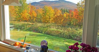 6 Minute Walk to Mountain Top Inn 4 BR, Sleeps 9-10, Pet Friendly, Views & Grill