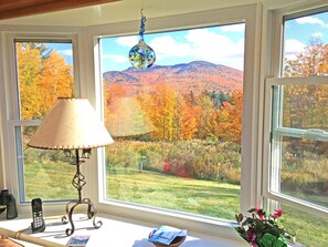 Sunroom View