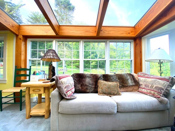 Smart TV, fireplace, DVD player, video library