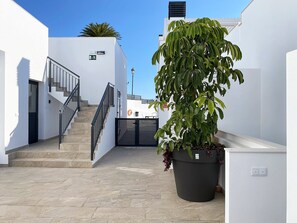 A clean, modern outdoor area with a staircase leading to a door, a large potted plant, and a white wall with a light switch.