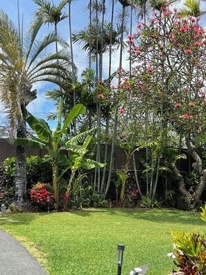 Property grounds - La Bella’s Bed & Breakfast-Honu (Turtle) Suite-Walk to beach-In Kailua (O’ahu) (Kailua)
