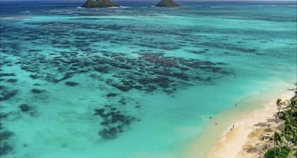 La Bella’s Bed & Breakfast-Honu (Turtle) Suite-Walk to beach-In Kailua (O’ahu)