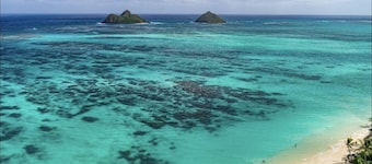 La Bella’s Bed & Breakfast-Honu (Turtle) Suite-Walk to beach-In Kailua (O’ahu)