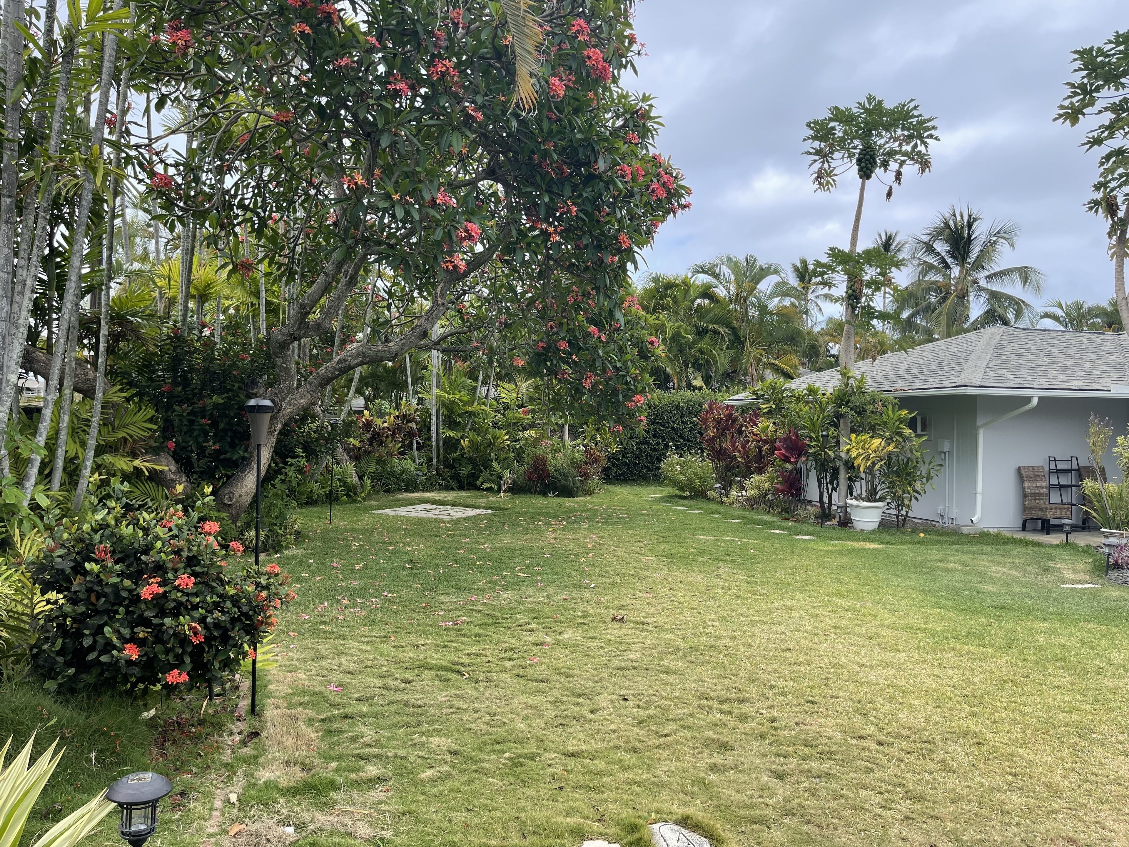 Terrein van de accommodatie