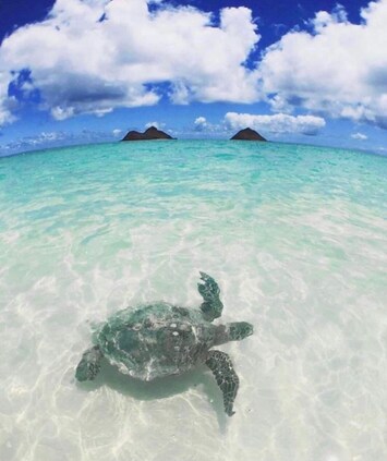 Praia