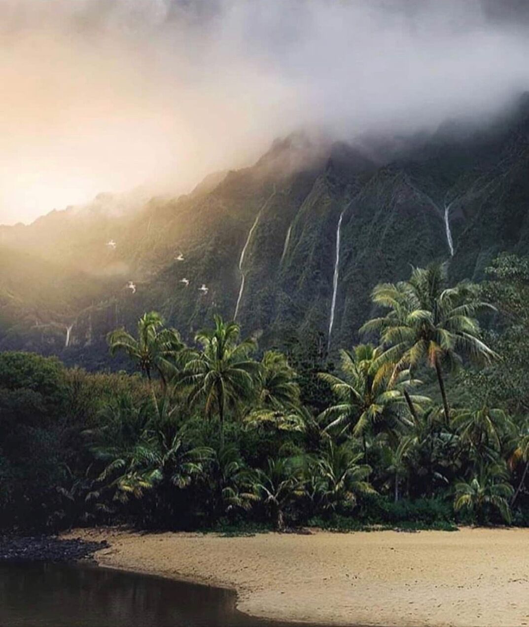 Ranta lähistöllä, aurinkotuoleja, rantapyyhkeitä