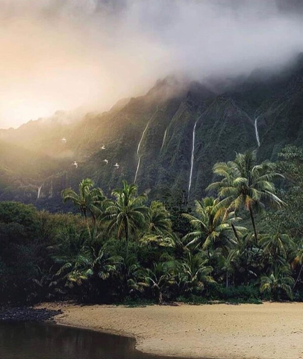 Ranta lähistöllä, aurinkotuoleja, rantapyyhkeitä