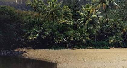 La Bellaâs Bed & Breakfast-Honu (Turtle) Suite-Walk to beach-In Kailua (Oâahu)