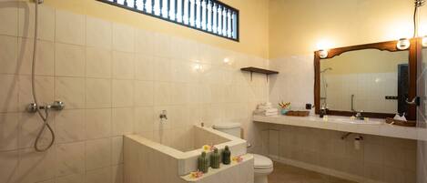 Een badkamer met een douche, toilet, wastafel en een spiegel met verlichting.