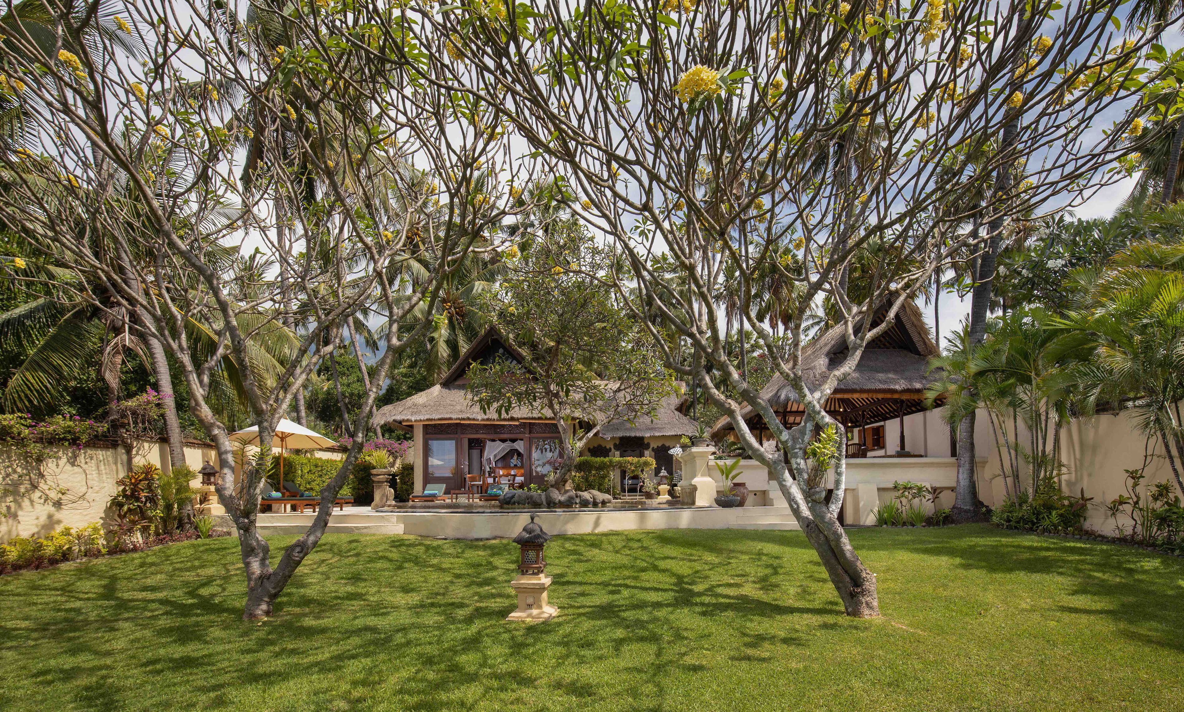 Un jardin tropical doté d’une structure à toit de chaume, d’une pelouse bien entretenue et de diverses plantes tropicales.