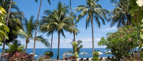 Outdoor pool, pool umbrellas, sun loungers