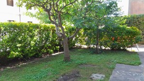 A garden with a tree, a hedge, and a stone pathway.