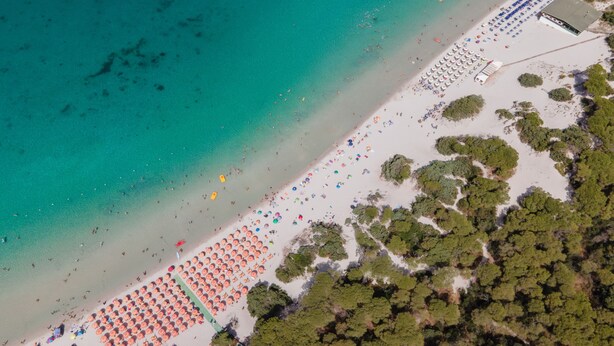 Eine Vogelperspektive zeigt einen Strand mit mehreren Reihen von Sonnenschirmen und Liegestühlen, feinen Sand und eine bewaldete Küstenlandschaft.