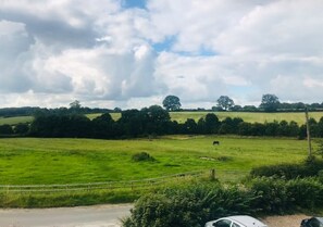 A rural landscape with a green field, a fence, and a car.
