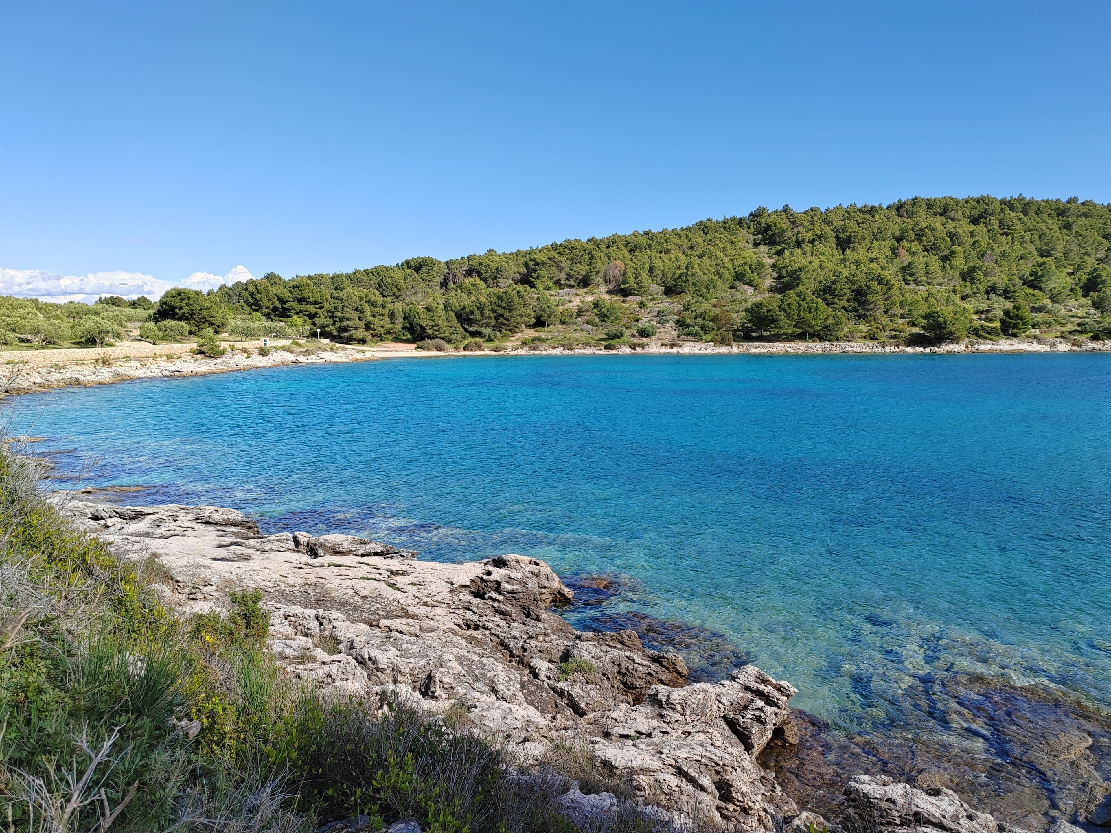 A coastal landscape with clear blue water, rocky shoreline, and a forested hill in the background.