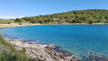 A coastal landscape with clear blue water, rocky shoreline, and a forested hill in the background.
