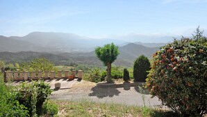Une zone pavée bordée d’une rangée de jardinières, d’un arbre et d’un arbuste aux baies rouges.