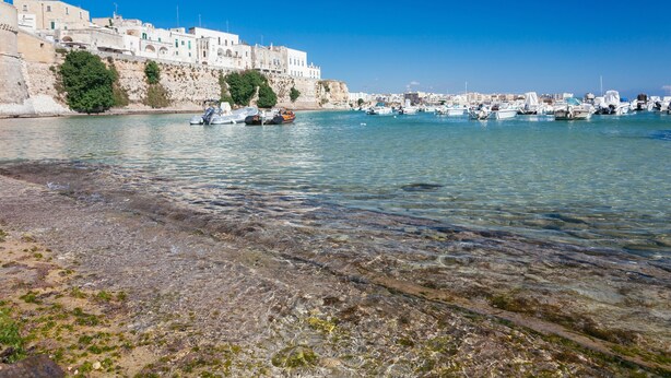 A coastal town with clear waters, boats, and historic buildings. - "Casa in Via Seminario" Apartment with Balcony and Wi-Fi (Otranto)