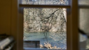 Une vue sur un paysage naturel, avec une rivière et des arbres, depuis une fenêtre.