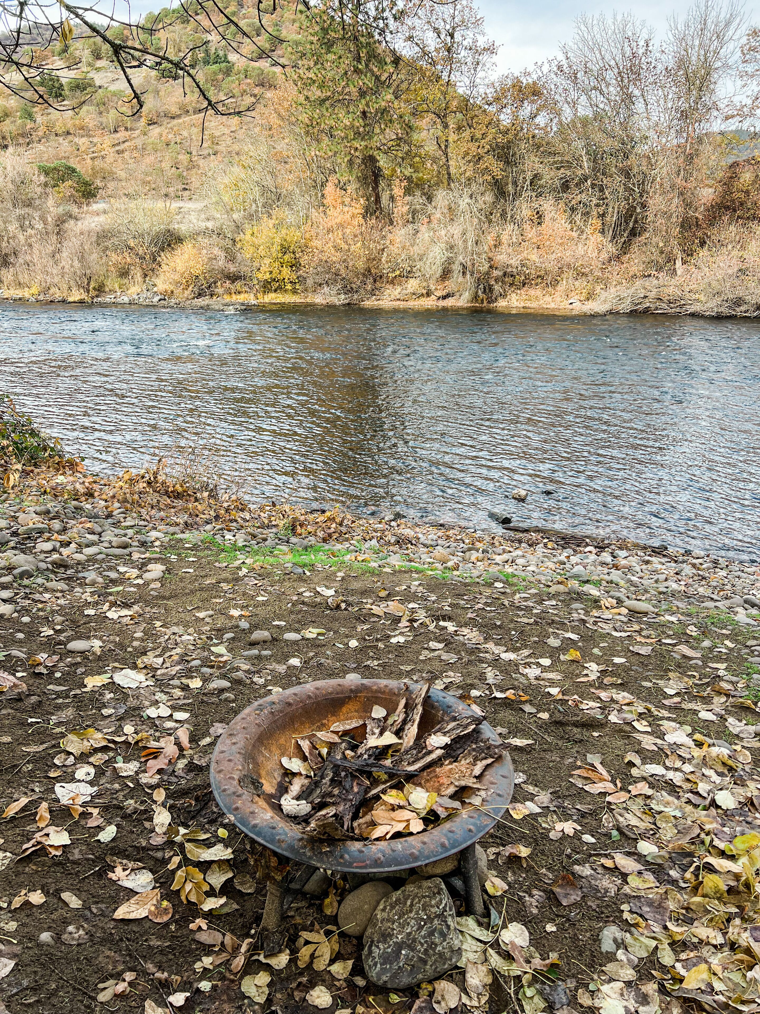 Cute apartment directly on the Rogue River with River Access