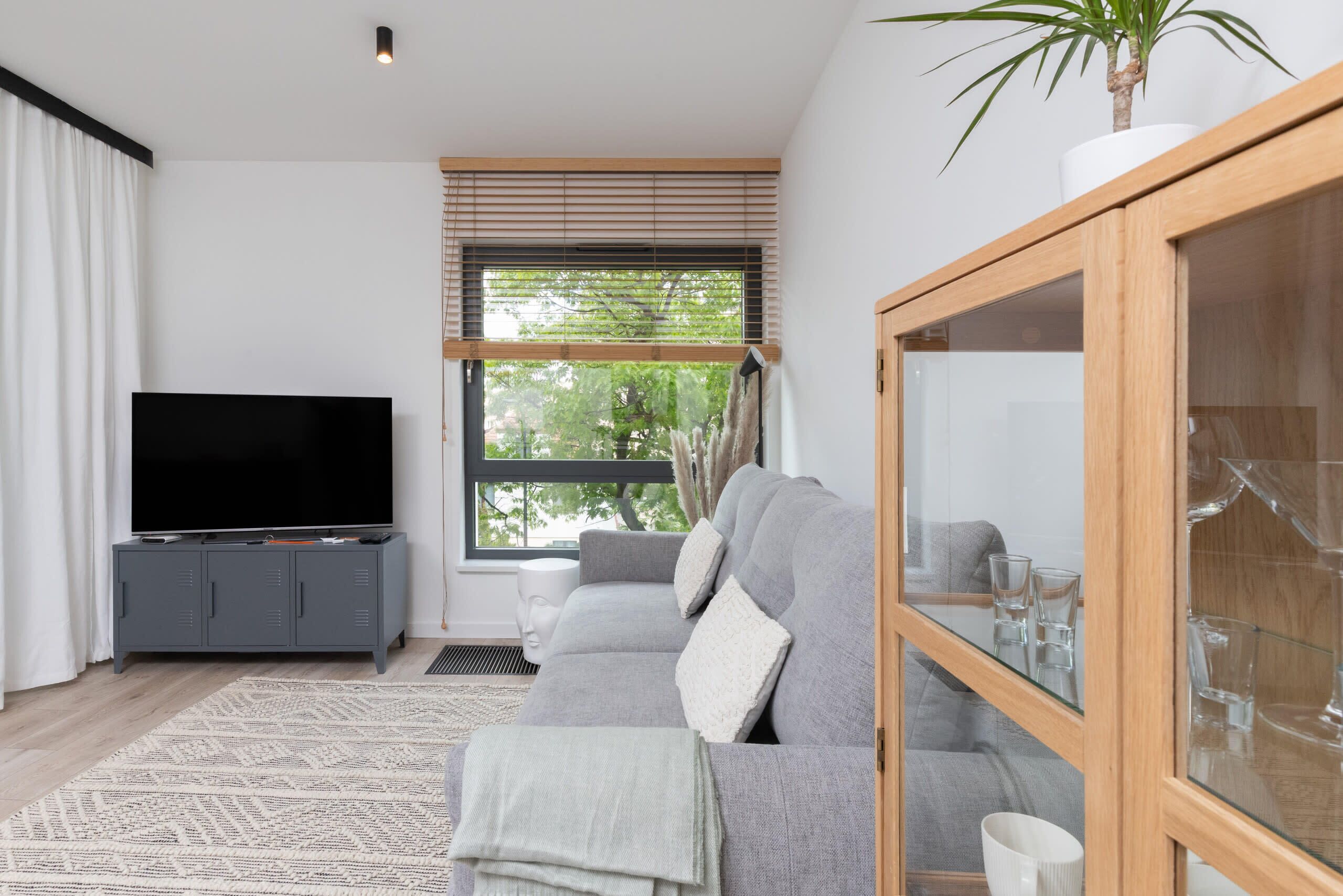 A modern living room with a grey sofa, a television on a grey cabinet, a large window with blinds, and a plant on a wooden shelf.