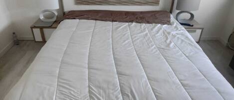 2 chambres, fer et planche à repasser, Wi-Fi gratuit, draps fournis