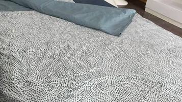 2 slaapkamers, een strijkplank/strijkijzer, reisbedje, gratis wifi