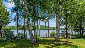 A serene lakeside park with birch trees, a swing, and a picnic area.