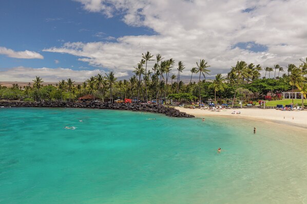 A beach with clear turquoise water, palm trees, and a sandy shore.
