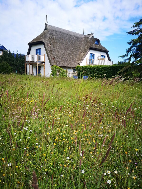 Exterior - Living under "thatch" Family-friendly, dogs allowed, garden+large open space (Lancken-Granitz)
